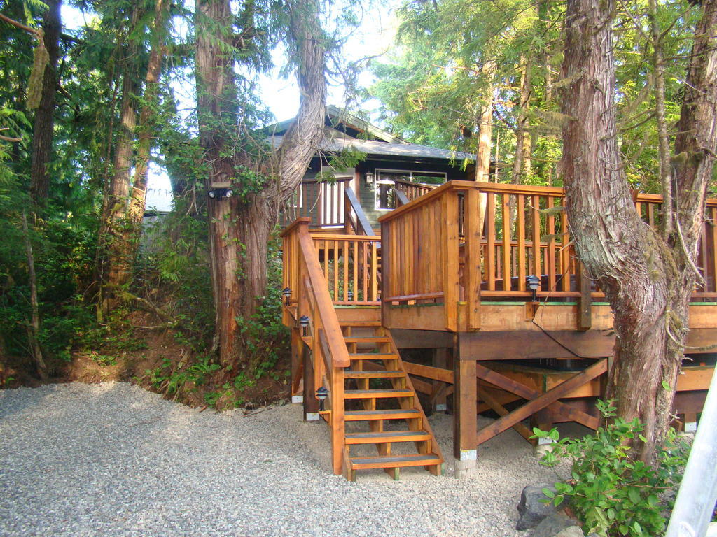 Вілла Tofino Forest View Cabin By Cox Bay Номер фото